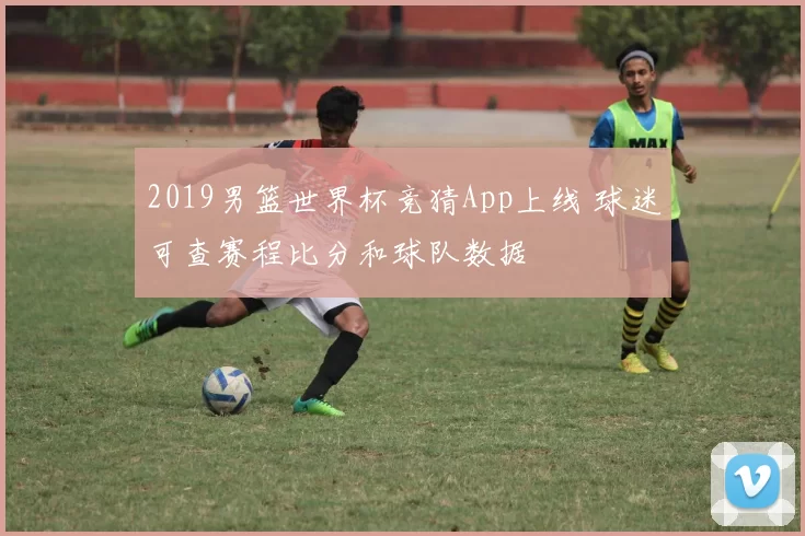 2019男篮世界杯竞猜App上线 球迷可查赛程比分和球队数据