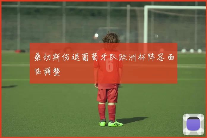 桑切斯伤退葡萄牙队欧洲杯阵容面临调整