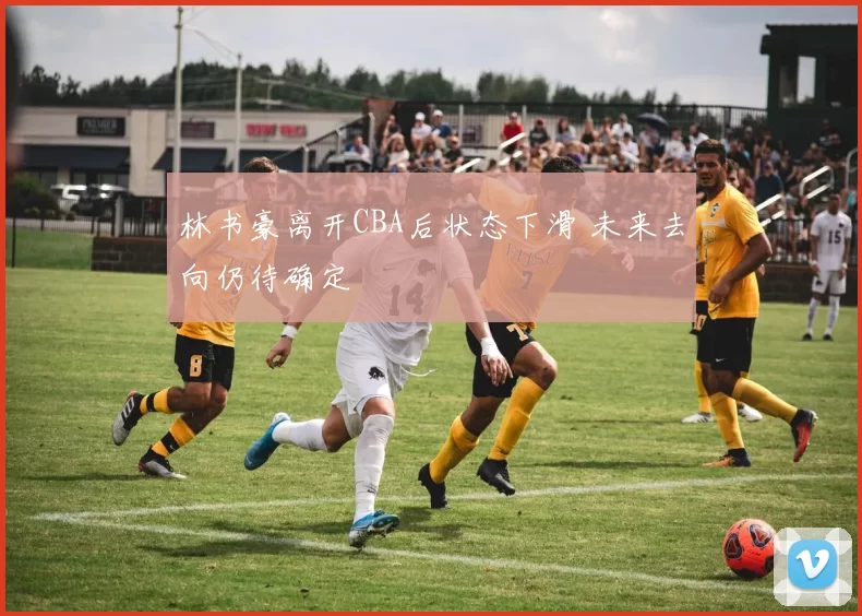 林书豪离开CBA后状态下滑 未来去向仍待确定