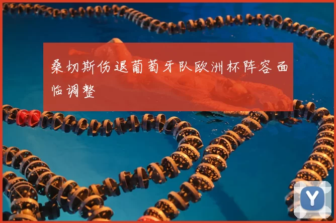 桑切斯伤退葡萄牙队欧洲杯阵容面临调整