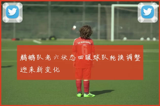 鹈鹕队老六状态回暖球队轮换调整迎来新变化