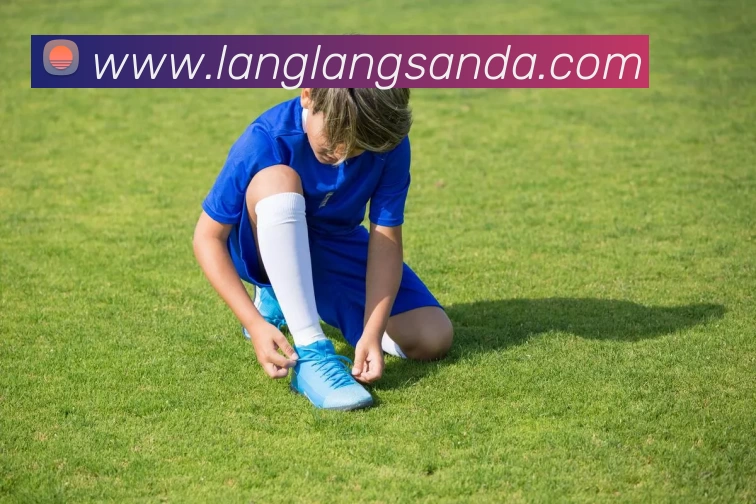 App Interface Preview